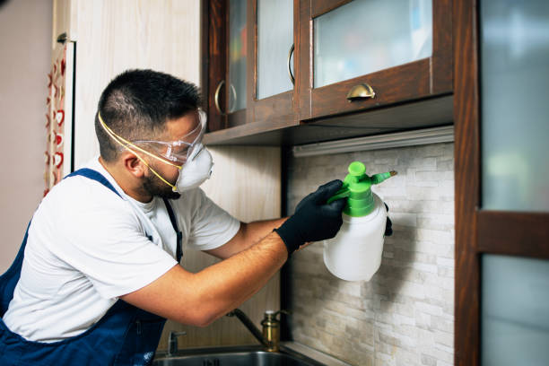 Best Pest Removal Services  in Strawberry, CA