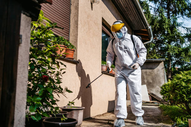 Best Spider Control Near Me  in Strawberry, CA