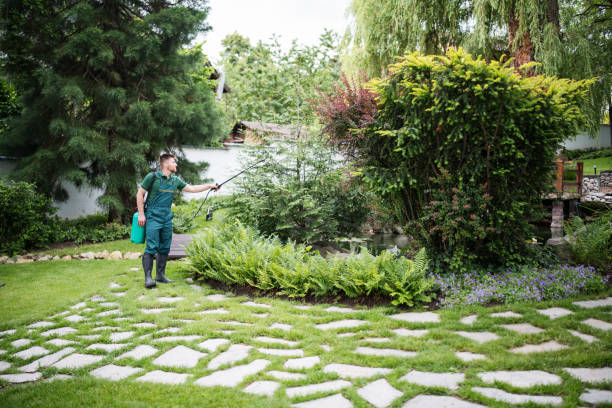 Best Pest Control Near Me in Strawberry, CA