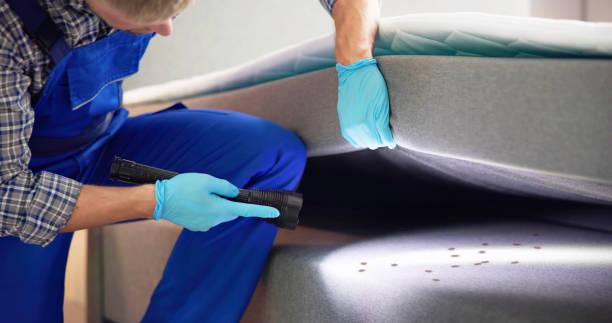 Best Ant Control Services  in Strawberry, CA